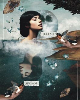 Kolaż cyfrowy „ Daj mi spokój”